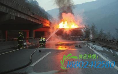 绵广高速大挂车冲下护栏撞上罐车 致3死1伤(图)
