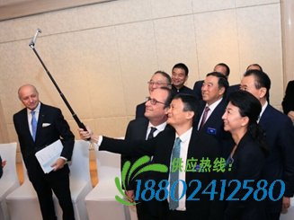 奥朗德与马云王健林等中国企业家玩自拍