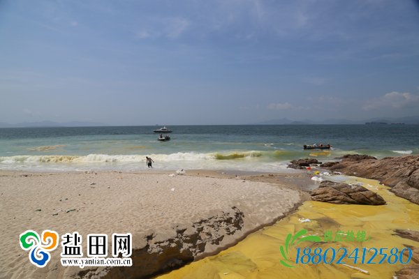 一辆载有三万升柴油的油罐车在揹仔角检查站侧