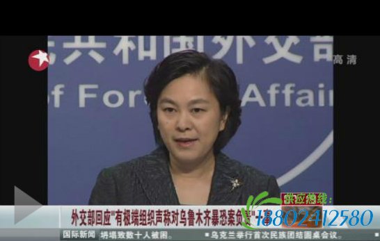 突组织上传视频称对乌鲁木齐火车站爆炸案负责