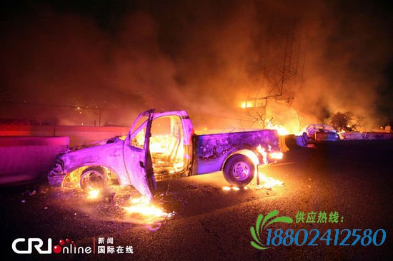 墨西哥发生油罐车爆炸事故 至少18人死亡(高清组图)