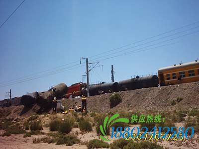 兰新线2火车相撞 9油罐车厢脱轨旅客无伤亡(图)
