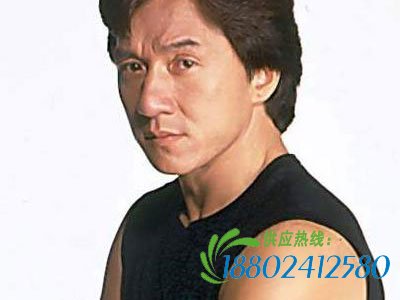 成龙电影:成龙点火图素材:成龙,王力宏