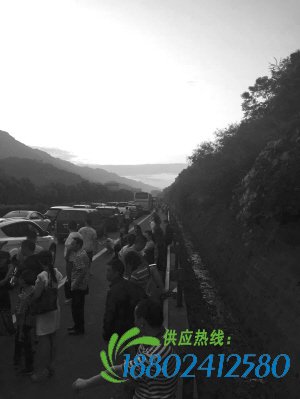 载30吨杂醇的罐车侧翻 高速封路5小时