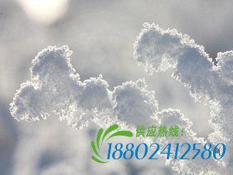 雪后天山美如画