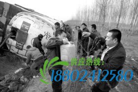 油罐车侧翻 村民排队“揩油”称防止污染