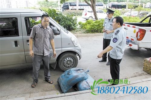 这个城市让四方来宾耳目一新