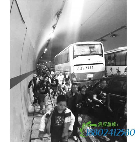 近千人隧道里上演生死时速 油罐车车祸恐爆炸引慌乱