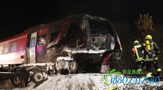 德国列车撞上美国军车发生爆炸 多人死亡