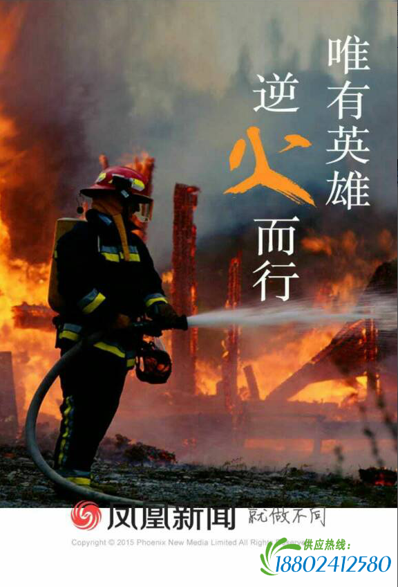 天津大爆炸：为什么那么多消防员殉职？