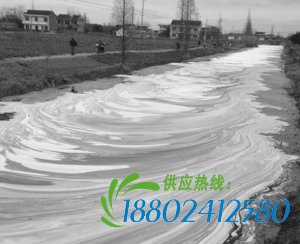 被污染的河流 图片来自网络