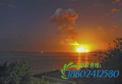 漳州PX工厂爆炸尚无污染物入海 有养殖户反映海马死亡