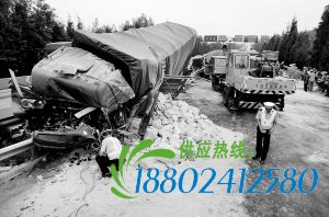 大货车冲破护栏撞上油罐车