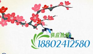 梦娃公益短片