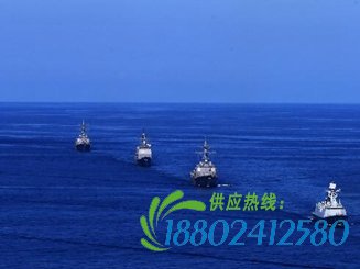 中美海军首次在大西洋举行联合演练