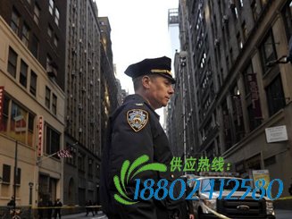 纽约曼哈顿发生枪击案