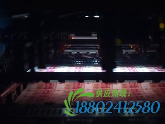 一起走趟“人民币之旅”