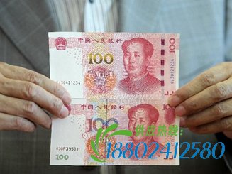 四招掌握新版百元人民币防伪新特征