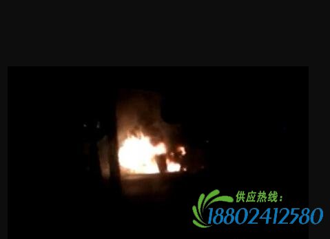 大广高速滑县段一油罐车爆炸 两名司机死亡(图)