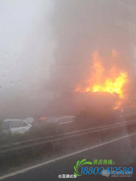成南高速数十辆车追尾,油罐车爆炸,3人死亡 成都生活 最成