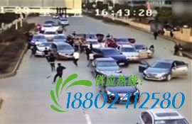江西数十人街头斗殴对砍