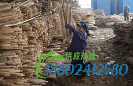 广西“坚强姐”跪着打工