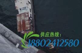 富豪被关铁笼沉入水库