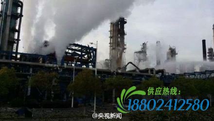 人民网北京4月21日电 据中央电视台新闻中心官方微博消息，今晨6时，江苏扬子石化乙烯厂一乙烯储罐发生爆炸。消防部门表示，目前管道内气体已关闭，残余气体正稳定燃烧，暂无危险。值班工作人员称，当时听到巨大声响，距离现场3公里处能感觉到窗户玻璃明显震动。事故造成1人骨折轻伤，已被及时送医。