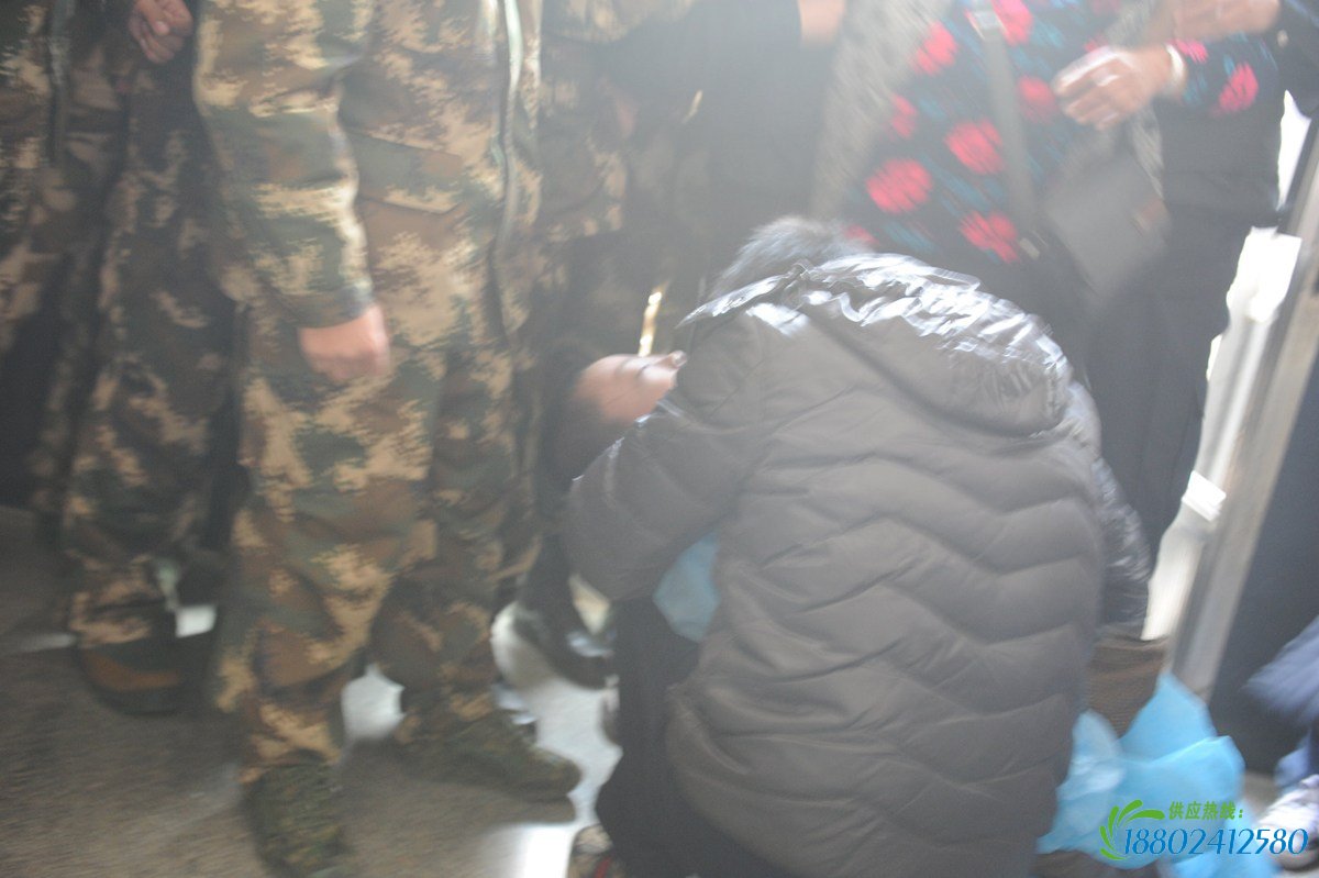 与一辆面包车校车相撞,已经造成12人死亡,其中11人为幼童. 