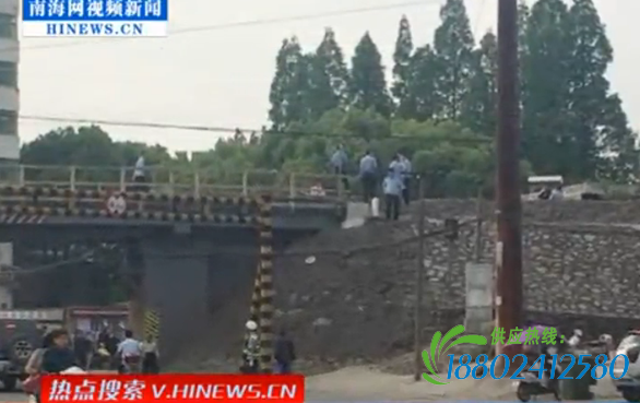 火车撞死穿铁轨女子 - 女子过铁路道口遭火车撞死碾压 - 遭碾压实拍火车撞人穿铁轨遭撞