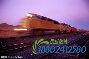 【床戏】惊险火车下逃生先锋影音