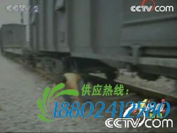 【床戏】惊险火车下逃生先锋影音