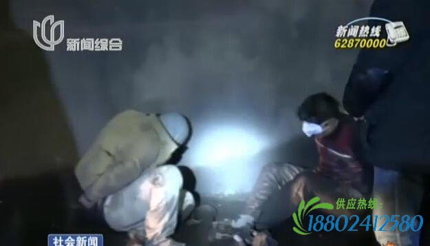 15名盗窃挤进油罐车内 宝山警方“瓮中捉鳖”