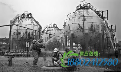 张立朝/摄