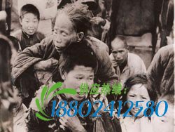 1946年南方大饥荒(组图)
发生在1946年至1947年的南方大饥荒，在两年间仅粤桂湘三省就饿死了1750万人。[全文]