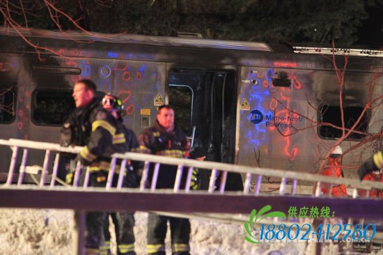 纽约列车与汽车相撞致7死多伤（组图）[1]-中国日报网