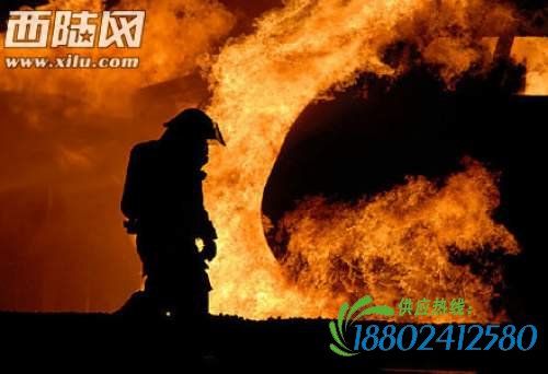 天津大爆炸：为什么那么多消防员殉职？
