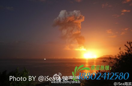 网友供图