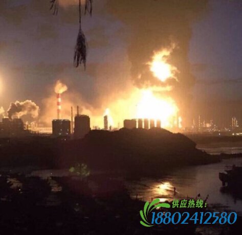 现场爆炸图片