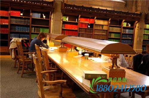 成功人士兜售“读书无用论”？