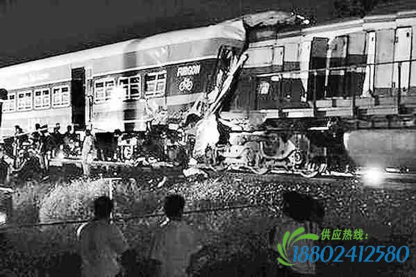 阿根廷火车相撞数十人死伤