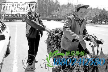刚护住老人　油罐车爆炸了