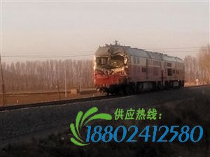...与正在通过道口的k1189次列车的机车相撞.列车无人员伤亡,肇...