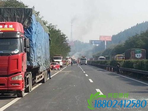 成南高速液化石油气罐车追尾爆炸 致5车被毁伤亡不明