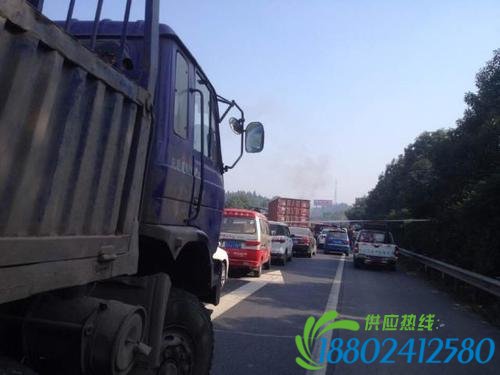 成南高速液化石油气罐车追尾爆炸 致5车被毁伤亡不明