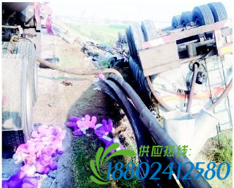 两车高速追尾翻进沟 油罐车“四脚朝天”