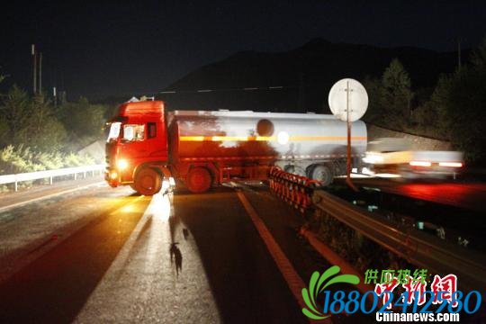京藏高速青海境内一满载油罐车违章调头发生车