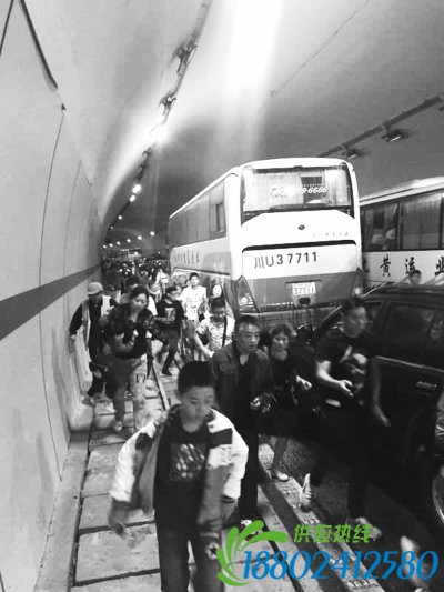 武汉游客成都遇连环车祸 经历近千游客隧道大逃亡