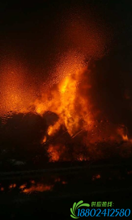 成都成南高速一液化石油气罐车追尾爆炸 3人遇难