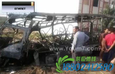 埃及一校车与油罐车相撞 致18死亡18重伤